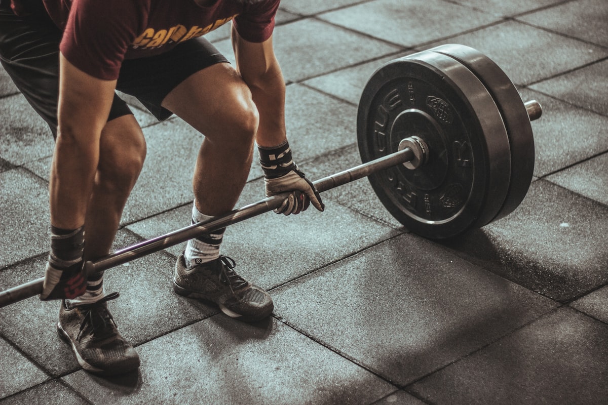 Stress Resilience and Longevity